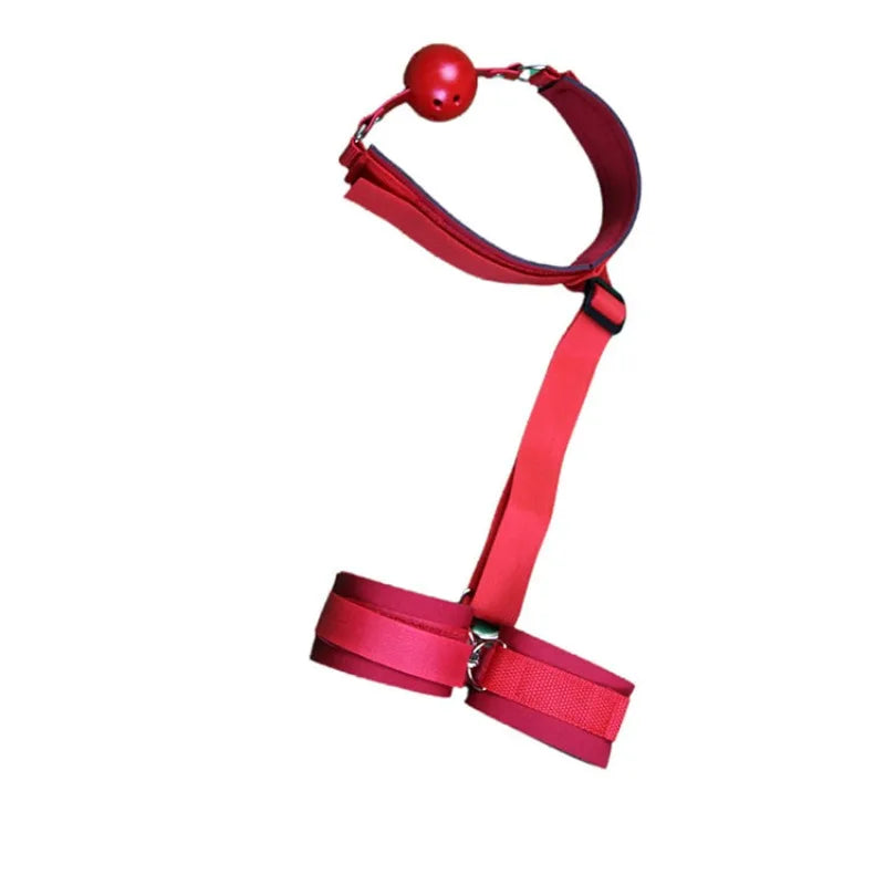 Adult Bondage Gear Set Rear Handcuffs Ball Gag Mouth Restraint BDSM Restraints